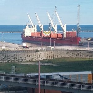 Meet your Posher, Shane